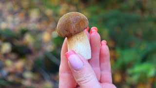 Лесные грибы с картошкой, жаренные в казане от бати