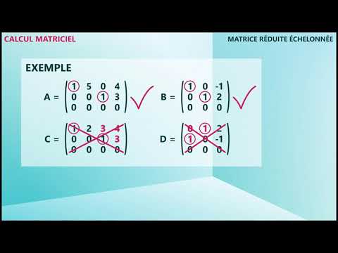 Vidéo: Comment réduire la ligne d'échelon sur une calculatrice ?