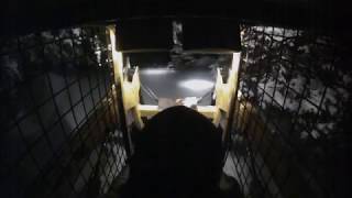 Ford Cl20 Skid Loader Plowing Snow