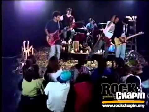 Bohemia Suburbana   Peces e Iguanas