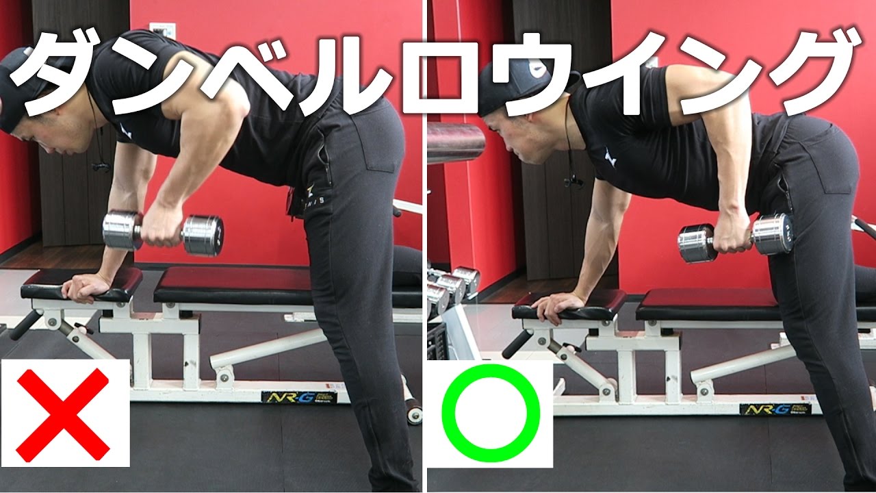 ダンベルのトレーニング方法 メリットを徹底解説 胸 肩 背中編 Fitness Mania