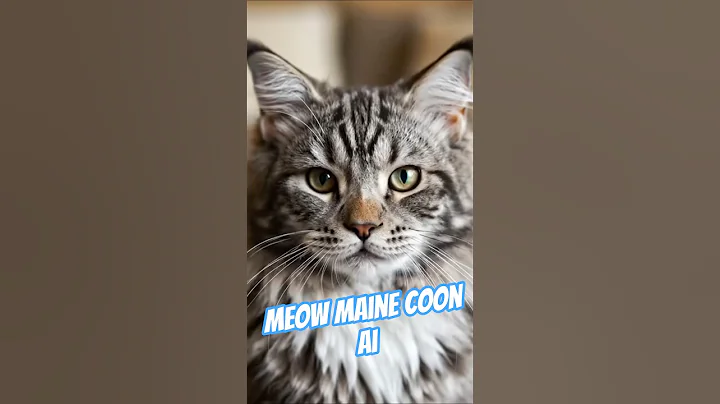 Video 10211001: meow maine coon, cat kitten cutecat
