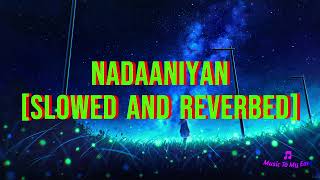 Nadaaniyan Slowed And Reverbed