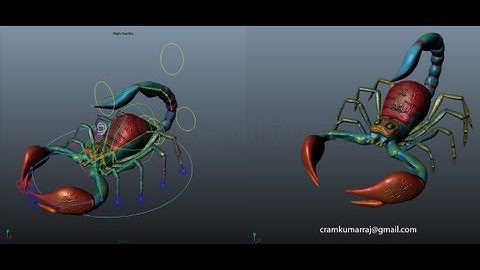Insect Rigging scorpion type