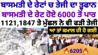 Basmati Beyond 6000 Basmati 1121 1718 1847 1509 1692 1401 Pb1 Pb7 Price Today Taaja Mandi Bhav Tmb