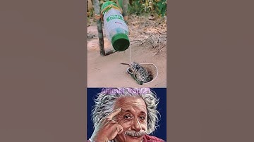 What A Crazy Snake Trap 😱#shorts#snake#trap#bottle
