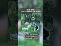 【第二弾】ストレイテナーの私的定番曲3選