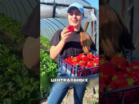 Богатейший мужик КАЗАНИ показал МЕГАФЕРМЫ💰🚜🌾