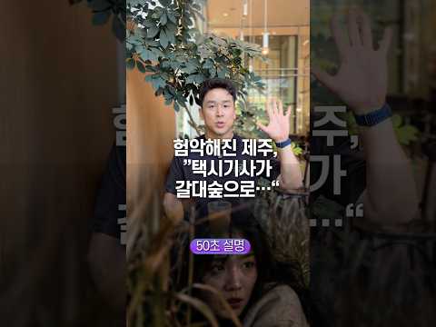 험악해진 제주, “택시기사가 갈대숲으로…” 50초 안에 설명하기