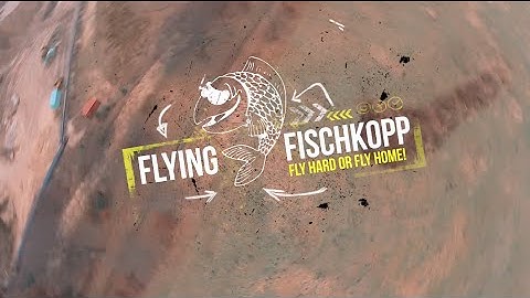 ImpulseRC Alien 5" & ImmersionRC Vortex Pro 250 - "Fly as fast as you can"