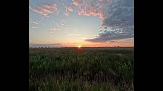 SUNSET at my local Marshes