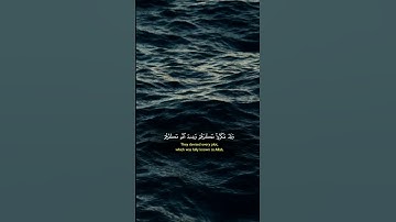 آيات بينات من الذكر الحكيم بصوت رائع جدا 🙏❤ #القرآن_الكريم #اكسبلور #المصحف