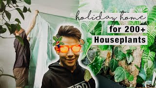 Holiday-lize / winterize my rare aroids | Indoor Green House