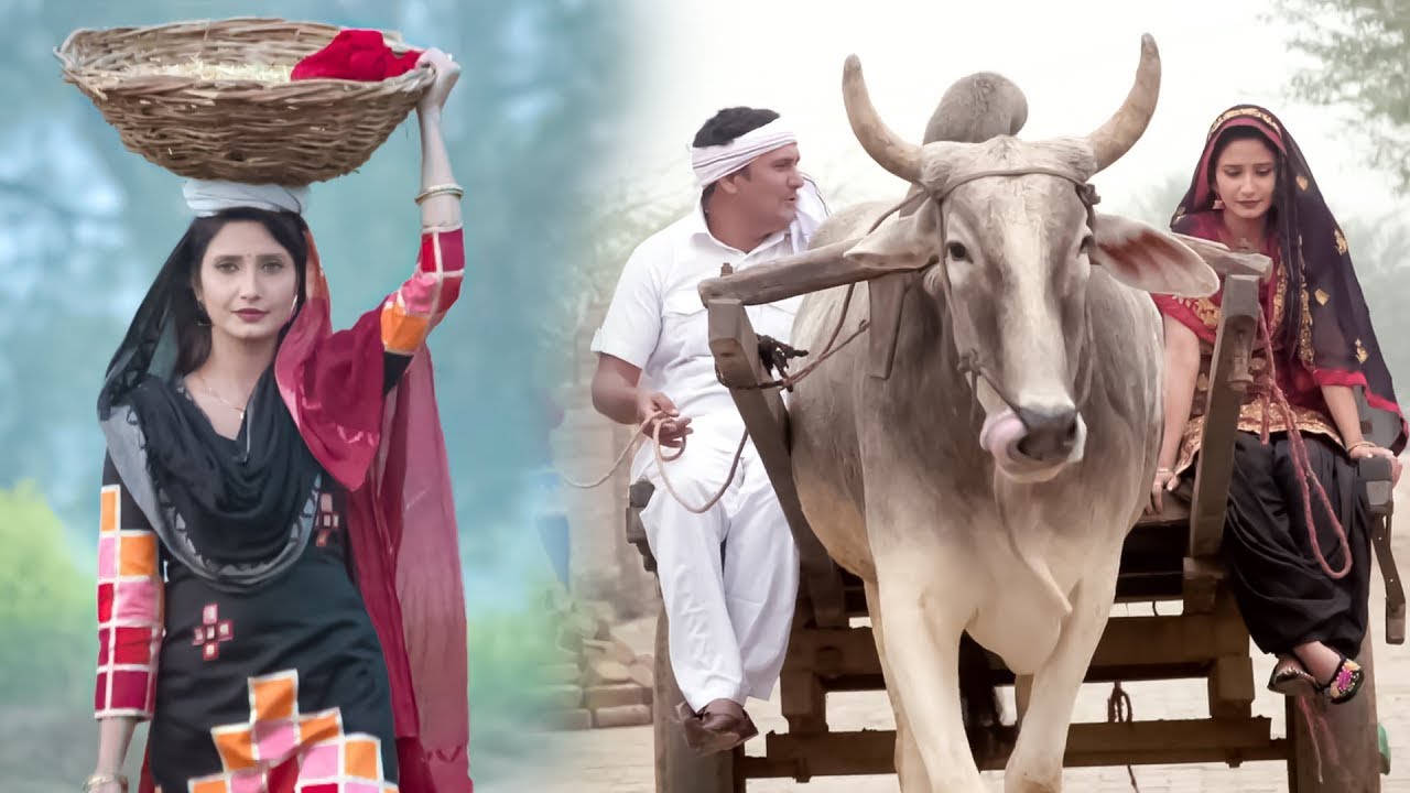 खेता का हाली # New Haryanvi Songs Haryanavi 2025 # शिवानी राघव का बिल्कुल नये अन्दाज का Video Song