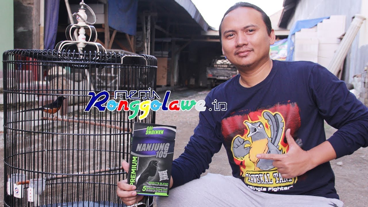 Media Hobi Murai Batu Mr Now Makin Jerojos Setelah Memakai