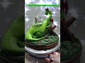 Disney Pete's Dragon Snowglobe Water Change