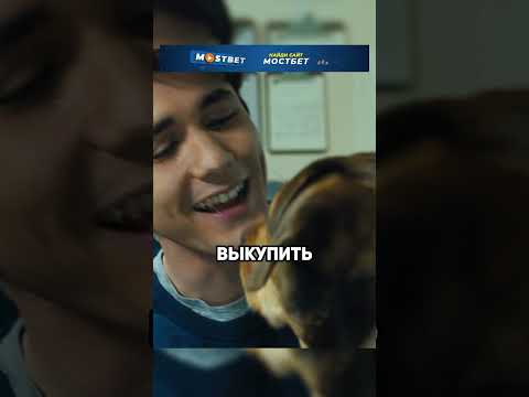 Собака нашла путь домой🥲