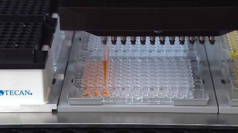 An MCA 96  is pipetting with a column of eight DiTis.