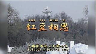 红豆相思 I  粵語  I  流行金曲  I  伴奏  I   KTV I KARAOKE版