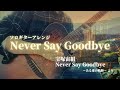 Never Say Goodbye （宝塚宙組 Never Say Goodbye -ある愛の軌跡- より）/ ソロギターアレンジ