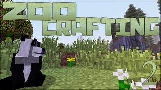 Snake Eggs and Meteors! 🐘 Zoo Crafting: Episode #2