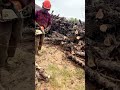 Chainsaw Still #chainsaw #still #woodworking