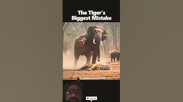 The Tiger’s Biggest Mistake Ever‼️Attacks Baby Elephant and Gets Crushed #tiger #elephant