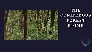 Exploring the Mysteries of North America's Coniferous Forests [8 of 9 Biomes of Earth]