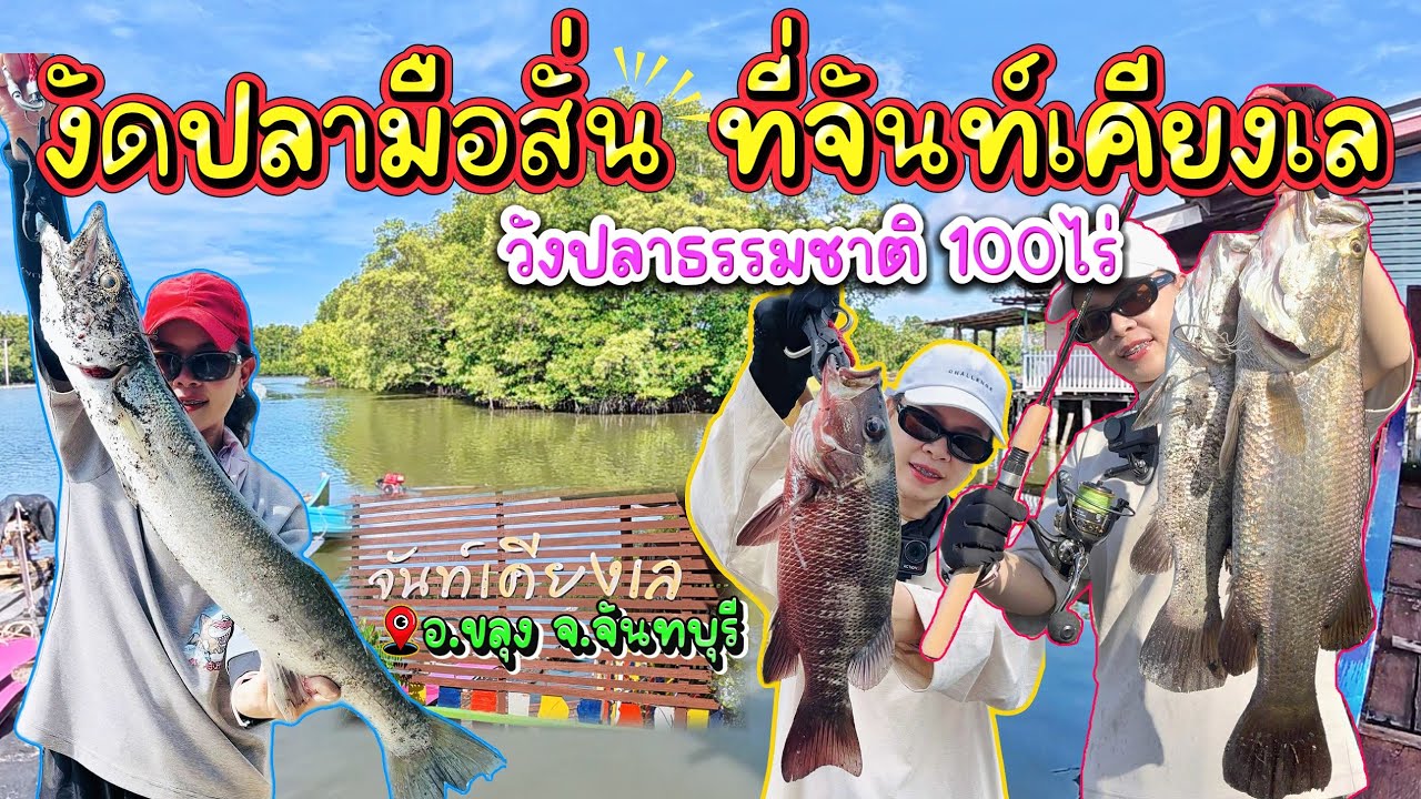 พักที่นี่..ตกปลาฟรี!! เอาออกฟรี!! ค่าคันฟรี!! กี่คันก็ได้!! จันท์เคียงเล โฮมสเตย์ (ห้องแอร์)