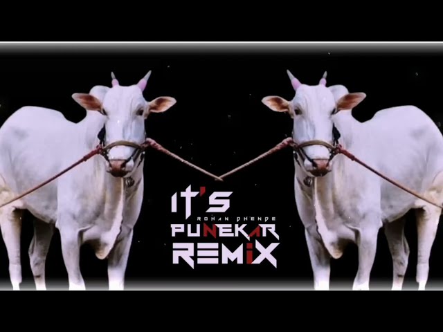 BAILGADA SHRYAT (BOUNCY MIX) IT'S PUNEKAR REMIX SJ REMIX ROHAN DHENDE DJ AADYA BAILPOLA SPECIAL 2K23 class=