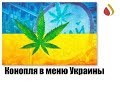 Конопля в меню Украины