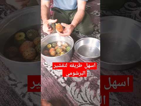 طريقة تقشير التين الشوكي البرشومي عالم الطبيعة التين الشوكي