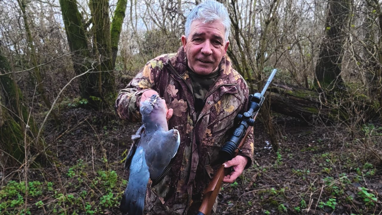 Очень сложный день. Стрельба по голубям из моей пневматической винтовки BSA R10. 