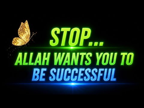Stop ! Allah wants you to be successful 💝
