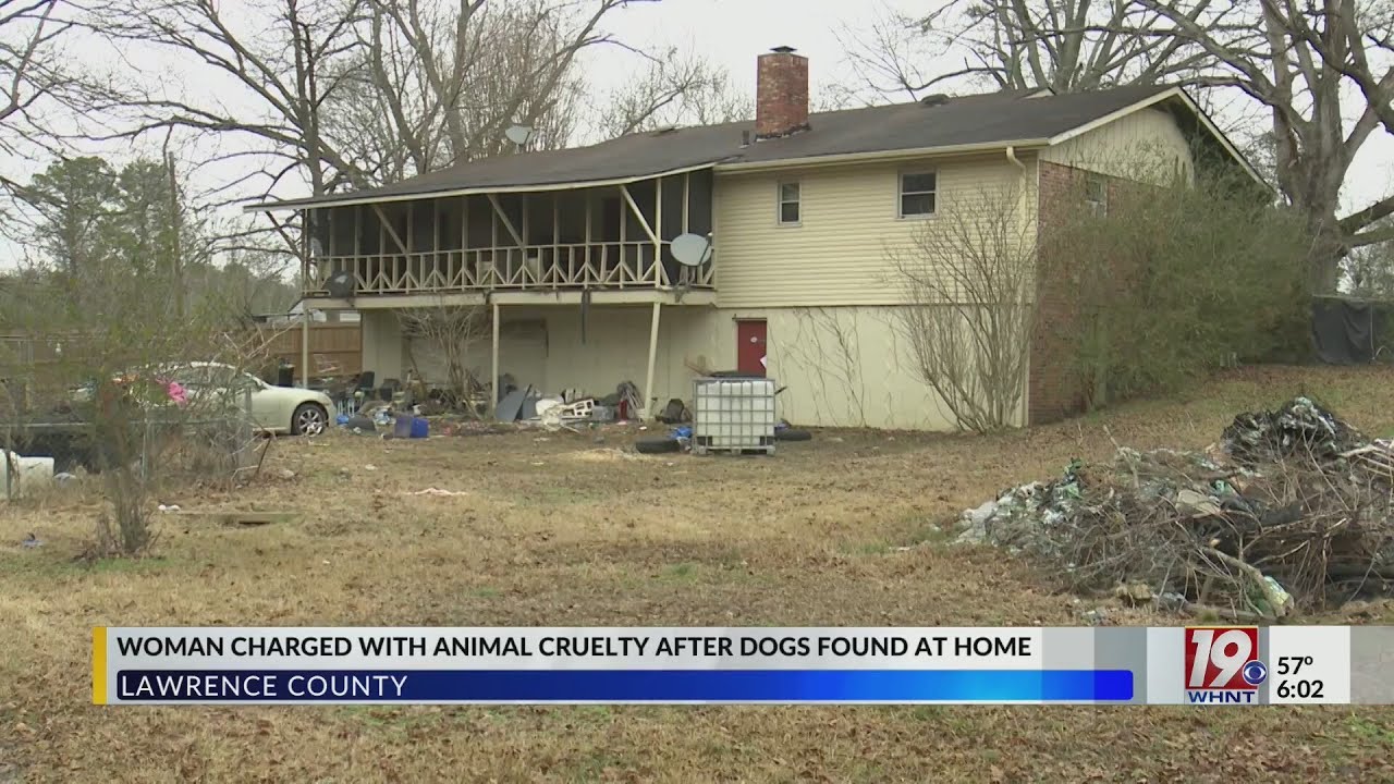Woman charged with animal cruelty after dogs found at home-January 23 ...