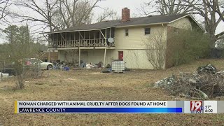 Woman charged with animal cruelty after dogs found at home-January 23, 2024-News 19 at 6 p.m.