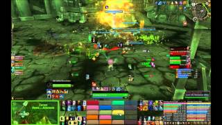 Hellfire Assault - Mythic Hellfire Citadel (Turox - Resto Druid PoV)