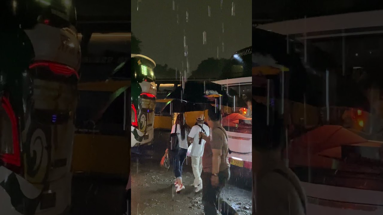 momen driver cantik sepayung berdua dengan mania 