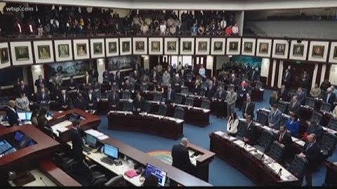Florida lawmakers pass anti-Semitism bill for schools | 10News WTSP
