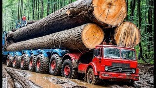 DANGEROUS DRIVERS IDIOTS FAILS LARGEST LOGGING TRUCK CARS CRASHES EXTREME OFF ROADS by TOP TV 1,374 views 1 day ago 38 minutes