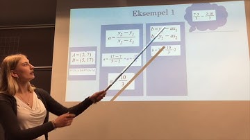 Den lineære funktion