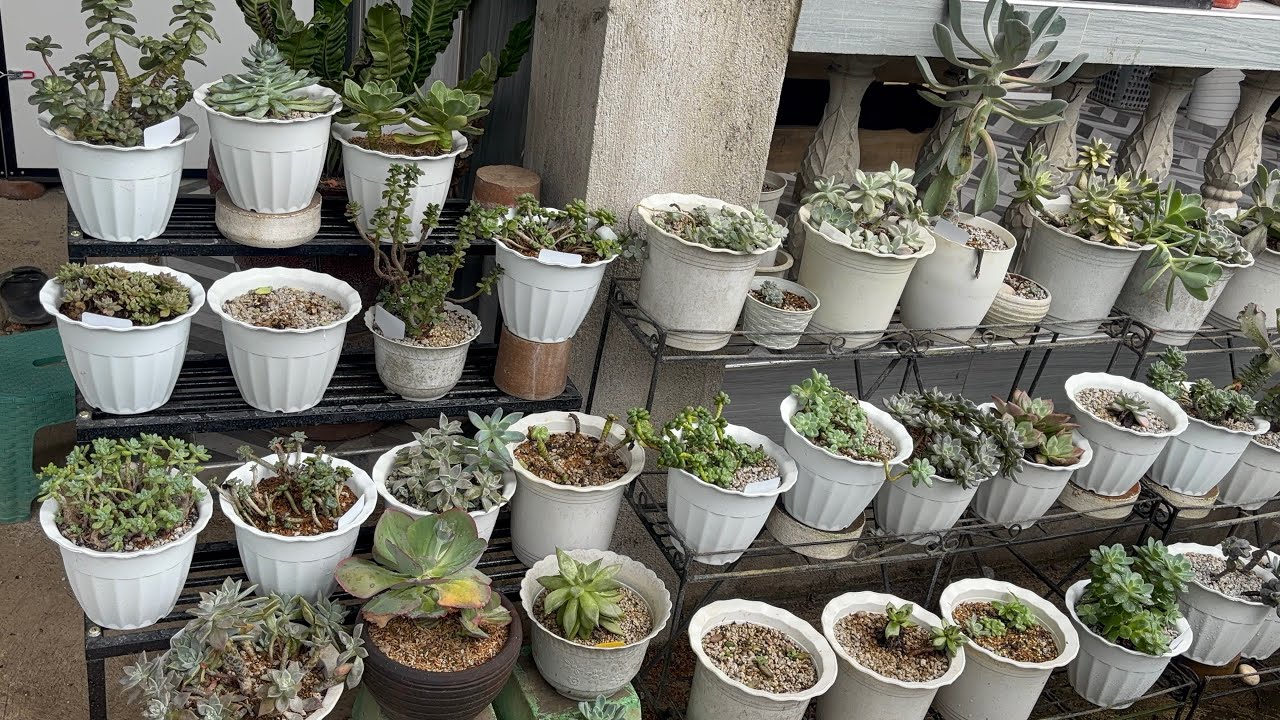 update sa tag ulan🌨️🌧️🌨️