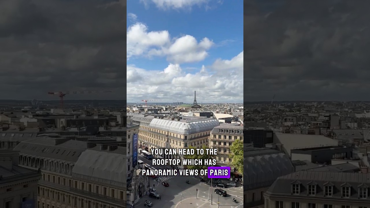 FREE VIEW in PARIS 🇫🇷✨