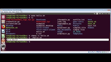 Hello World bash script in Linux