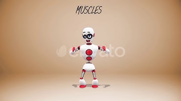 Roboman - Character Animation Kit | After Effects Project Files - Videohive template