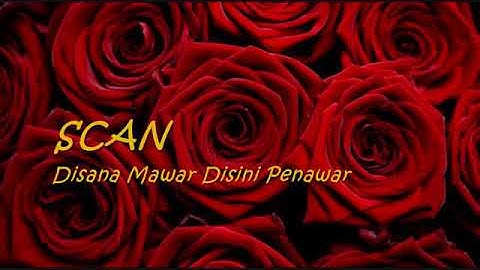 Disana Mawar Disini Penawar (Lirik)