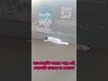 হাজি কি মারা গেল