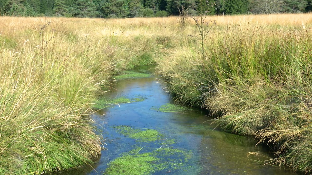 Water, a valuable resource for SILAB