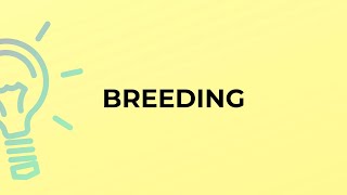 What is the meaning of the word BREEDING?