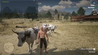 Celebrity Ultimate Ranching Experience! Learn How to Use bcc-ranch for REDM Virtual Ranching. Wealth